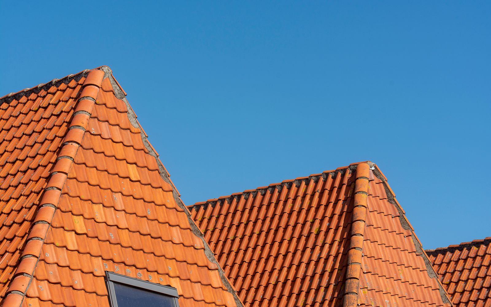 Roof cleaning